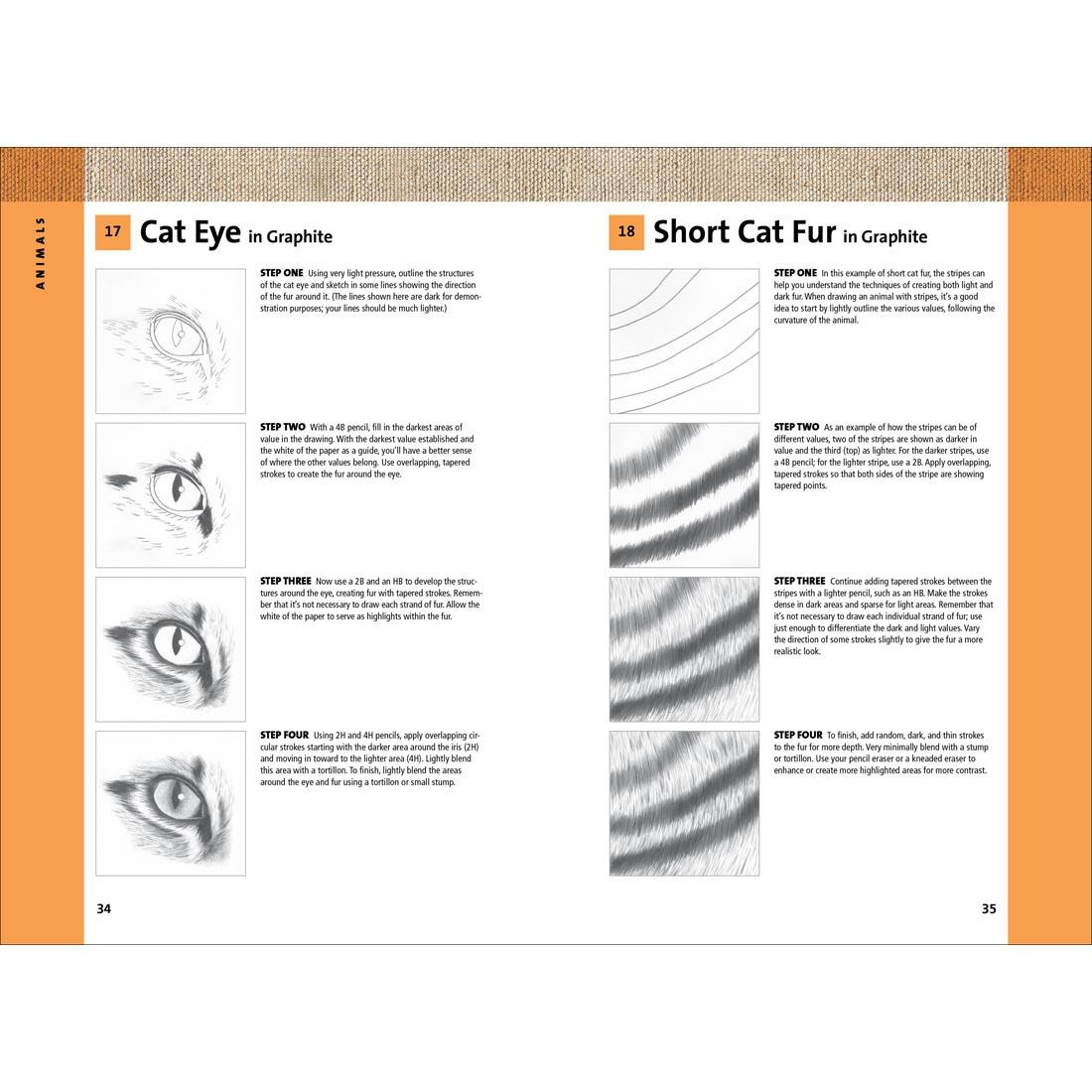 Pages 34 and 35 from the book 101 Textures In Graphite & Charcoal, showing how to draw a cat's eye and short cat fur