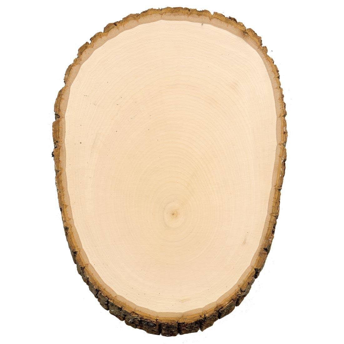 1/2" thick slice of oval basswood, with natural bark on the edge, about 8"