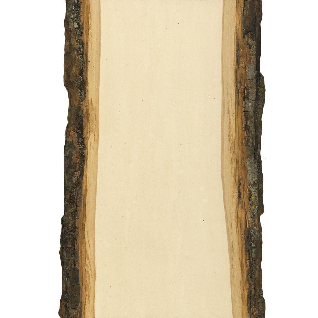 1/2" thick, small-sized rectangular Basswood plank with natural bark on 2 edges