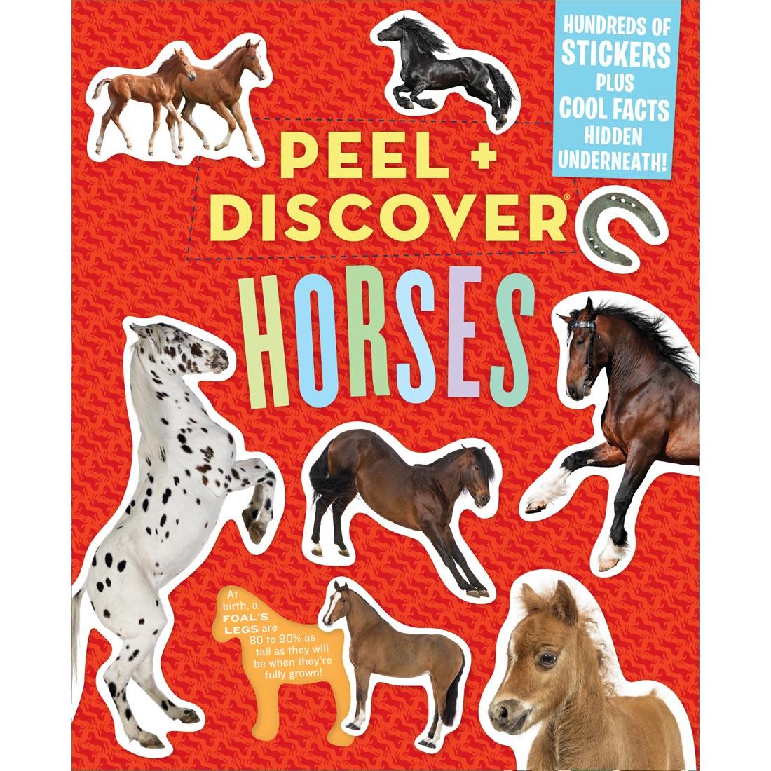 cover of Peel + Discover Sticker Book: Horses