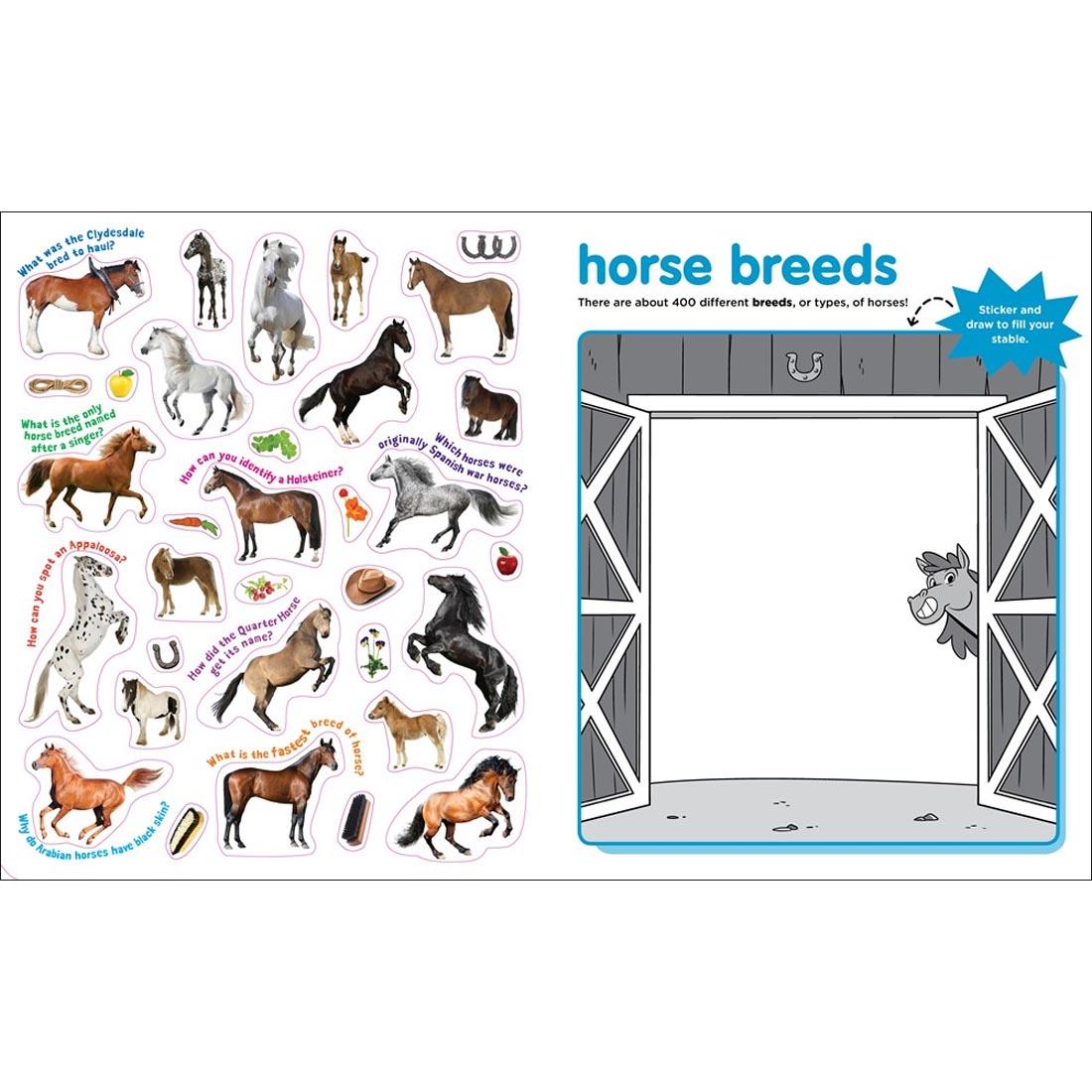 sample pages from Peel + Discover Sticker Book: Horses