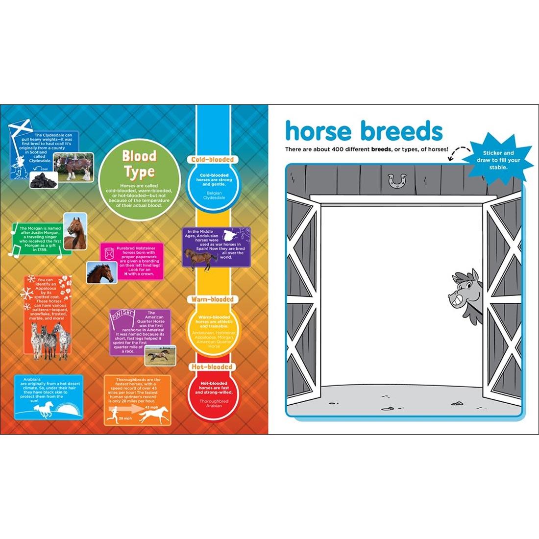 sample pages from Peel + Discover Sticker Book: Horses