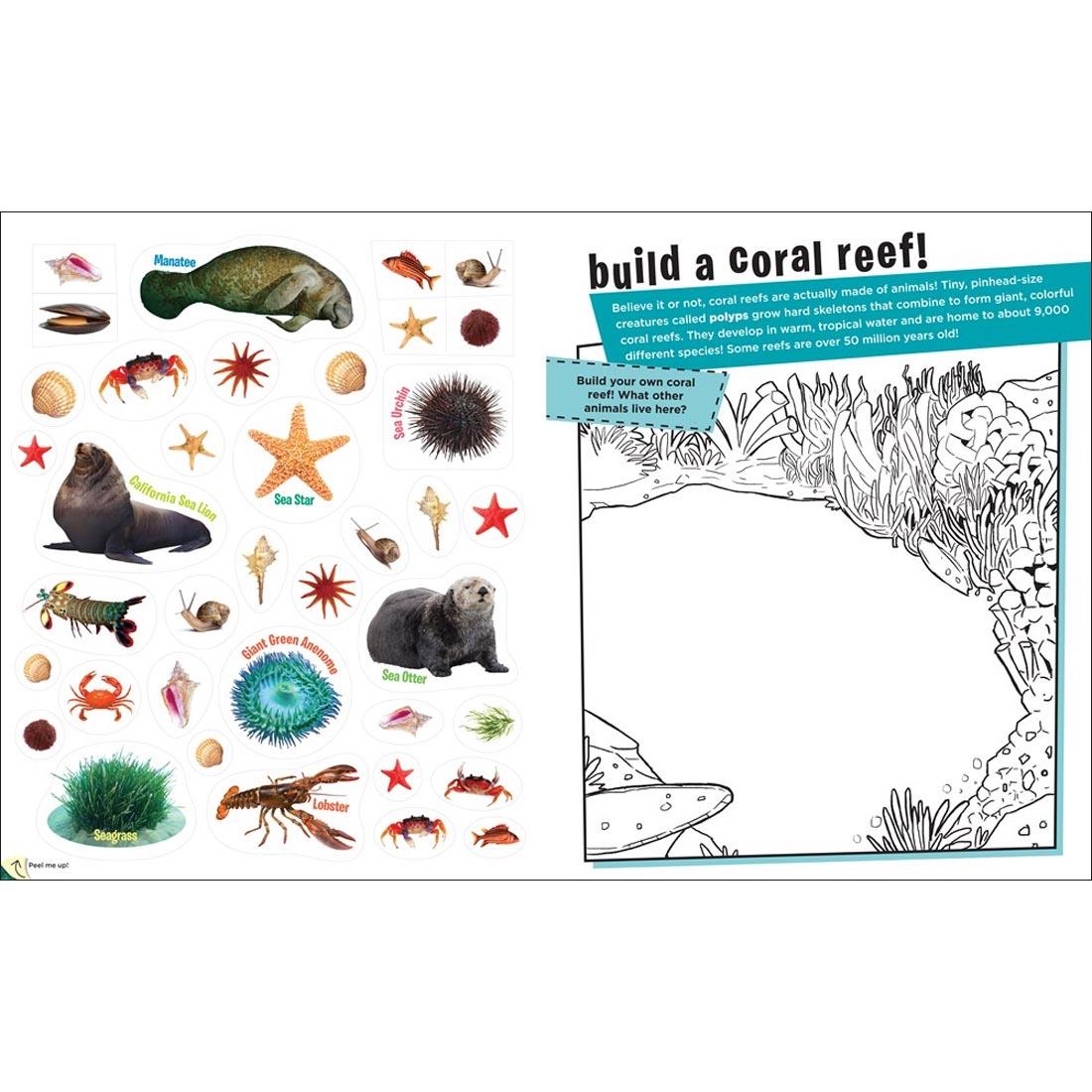 sample pages from Peel + Discover Sticker Book: Oceans