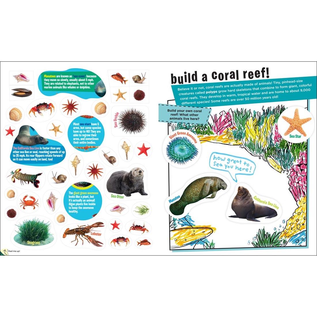 sample pages from Peel + Discover Sticker Book: Oceans