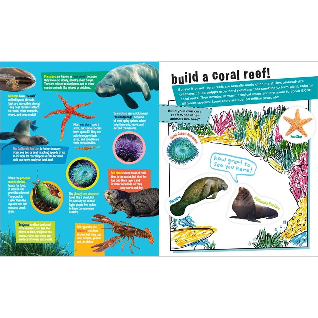 sample pages from Peel + Discover Sticker Book: Oceans