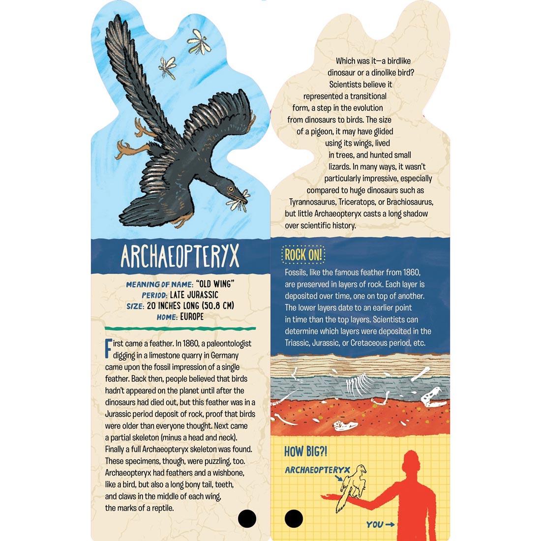 Archaeopteryx card from Fandex Kids: Dinosaurs