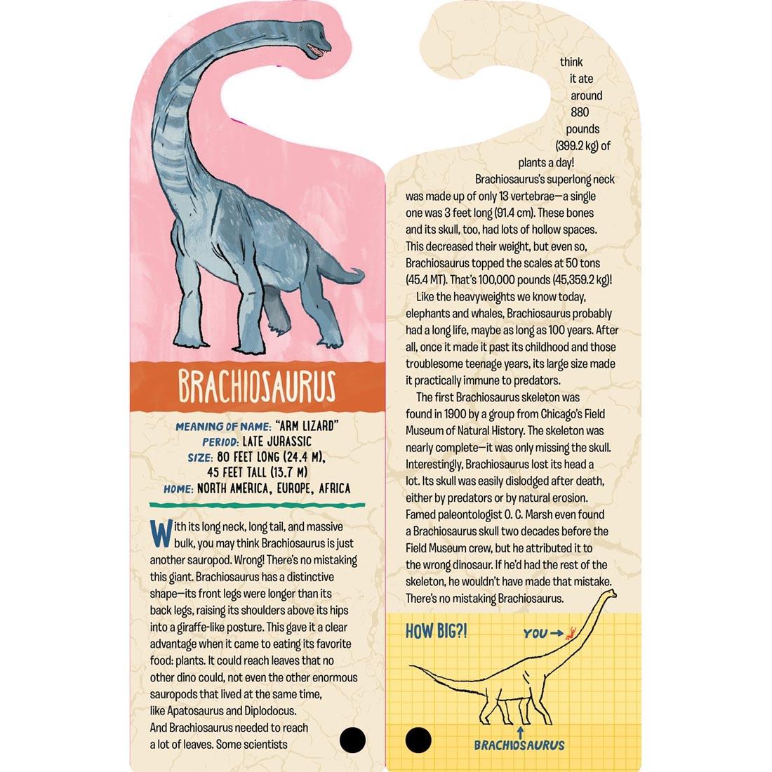 Brachiosaurus card from Fandex Kids: Dinosaurs