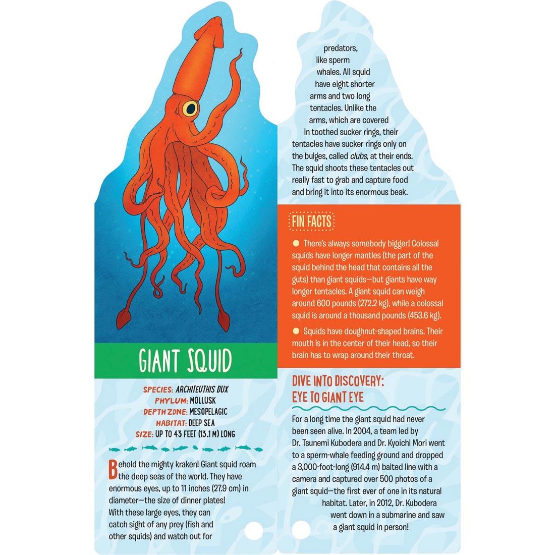 Giant squid card from Fandex Kids: Ocean deck