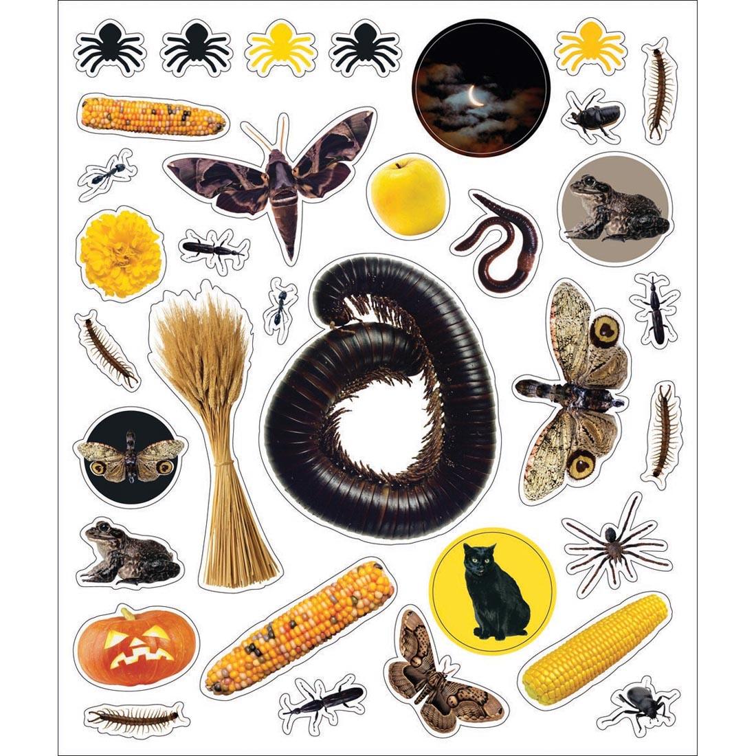 sample sticker sheet from Eye Like Halloween Stickers, showing spiders, wheat, corn and more