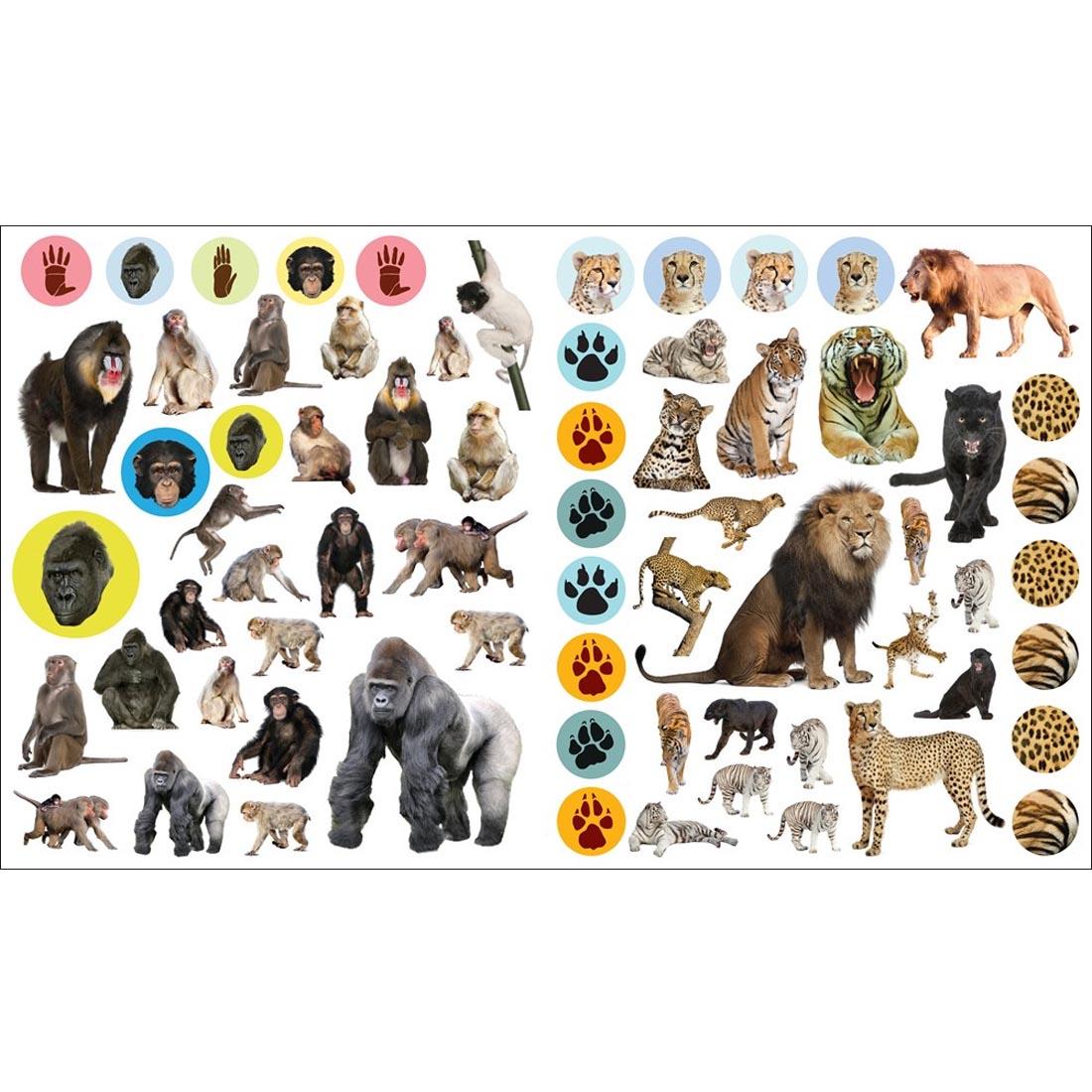 sample sticker pages from the book Eye Like Wild Animals Stickers