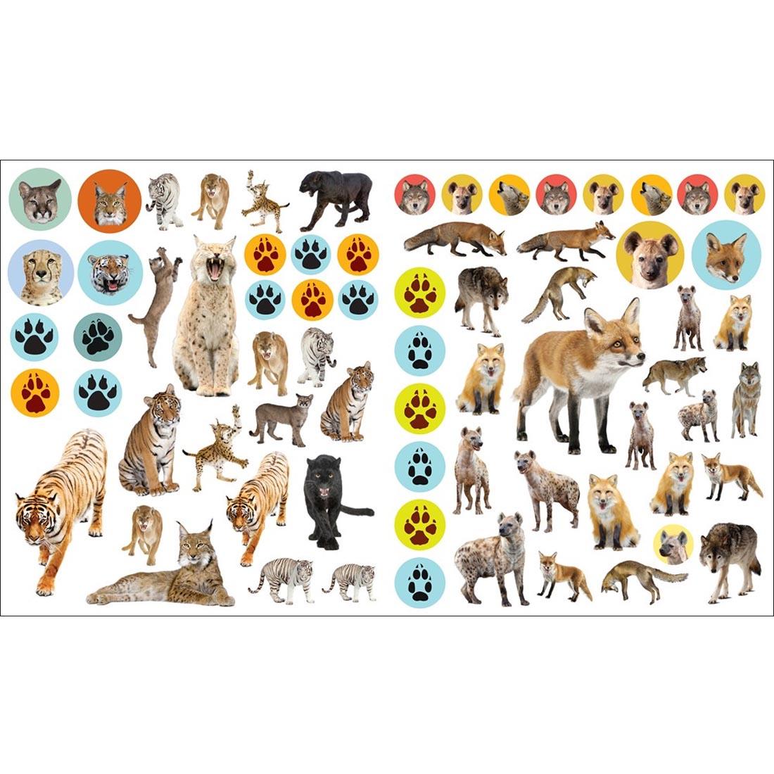 sample sticker pages from the book Eye Like Wild Animals Stickers