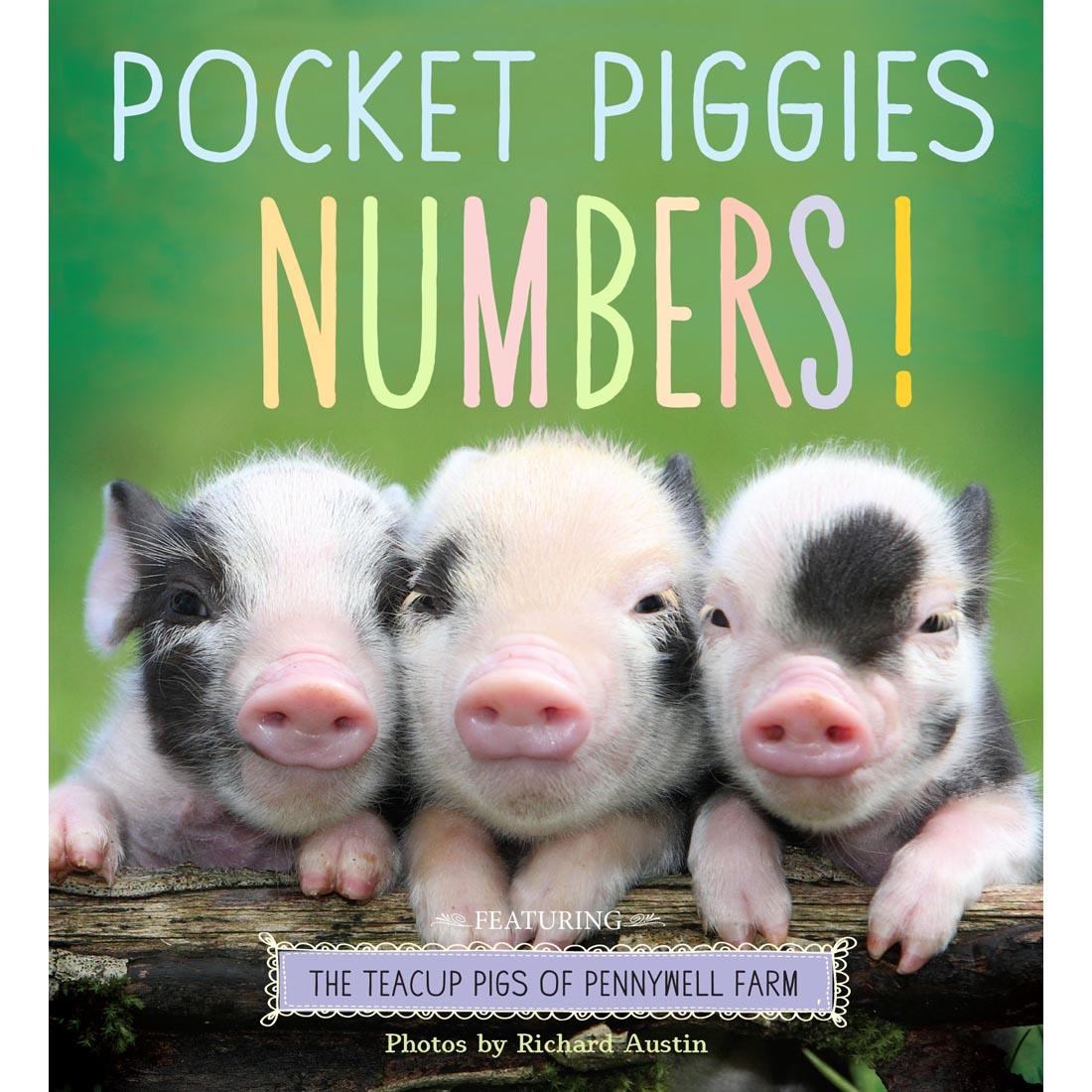 front cover of Pocket Piggies Numbers! Board Book