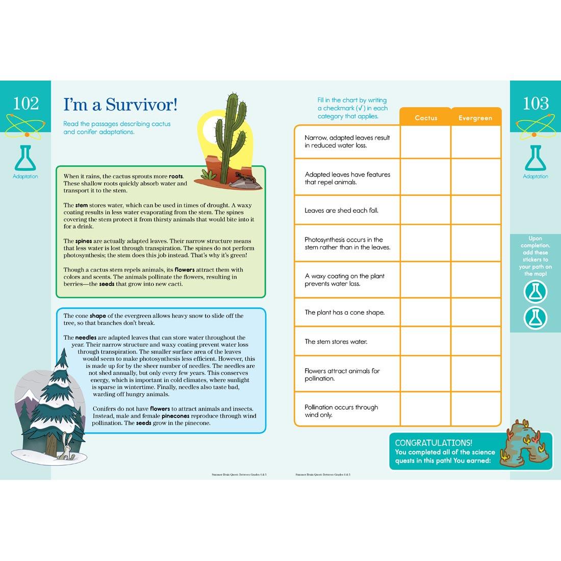 sample pages from Summer Brain Quest Workbook for kids between 4th and 5th grade