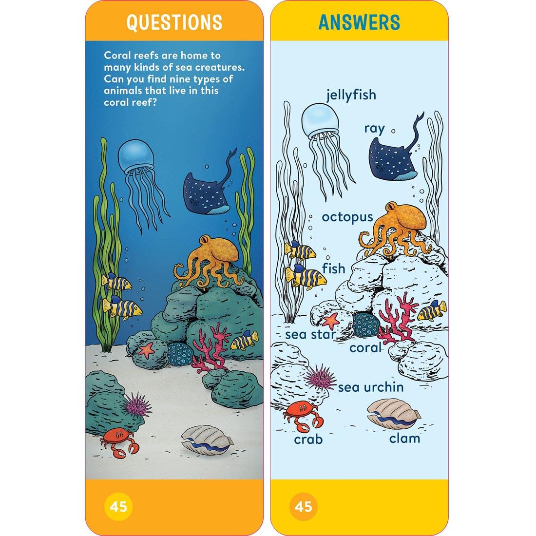 sample question and answer cards from Brain Quest Smart Cards Kindergarten