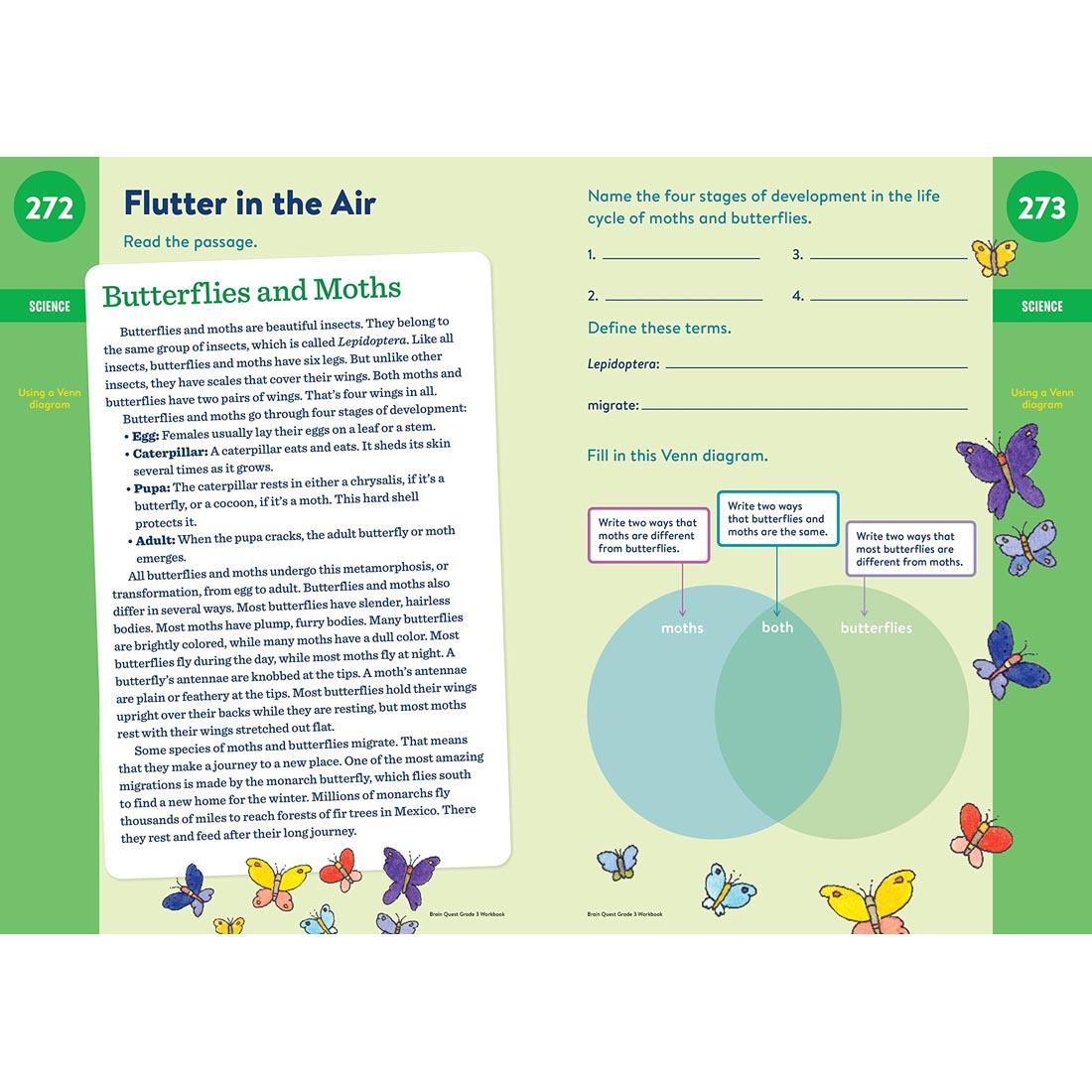 sample pages from Brain Quest Workbook Grade 3