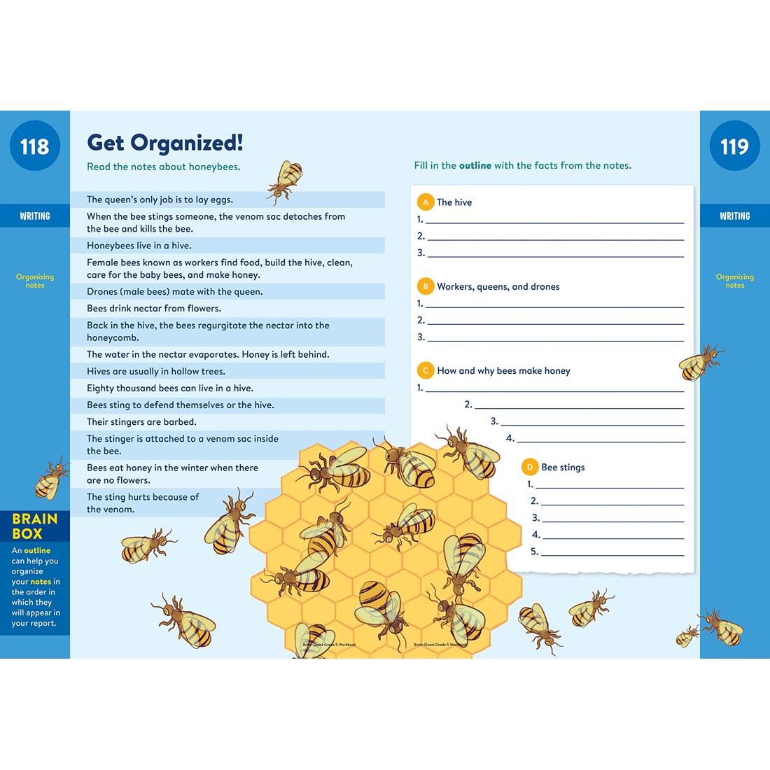 sample pages from Brain Quest Workbook Grade 5