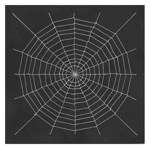 String Art Spider  Project 227