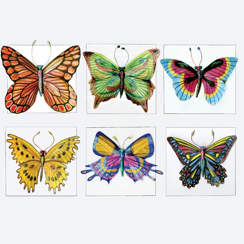 Butterfly Collection - Project #147